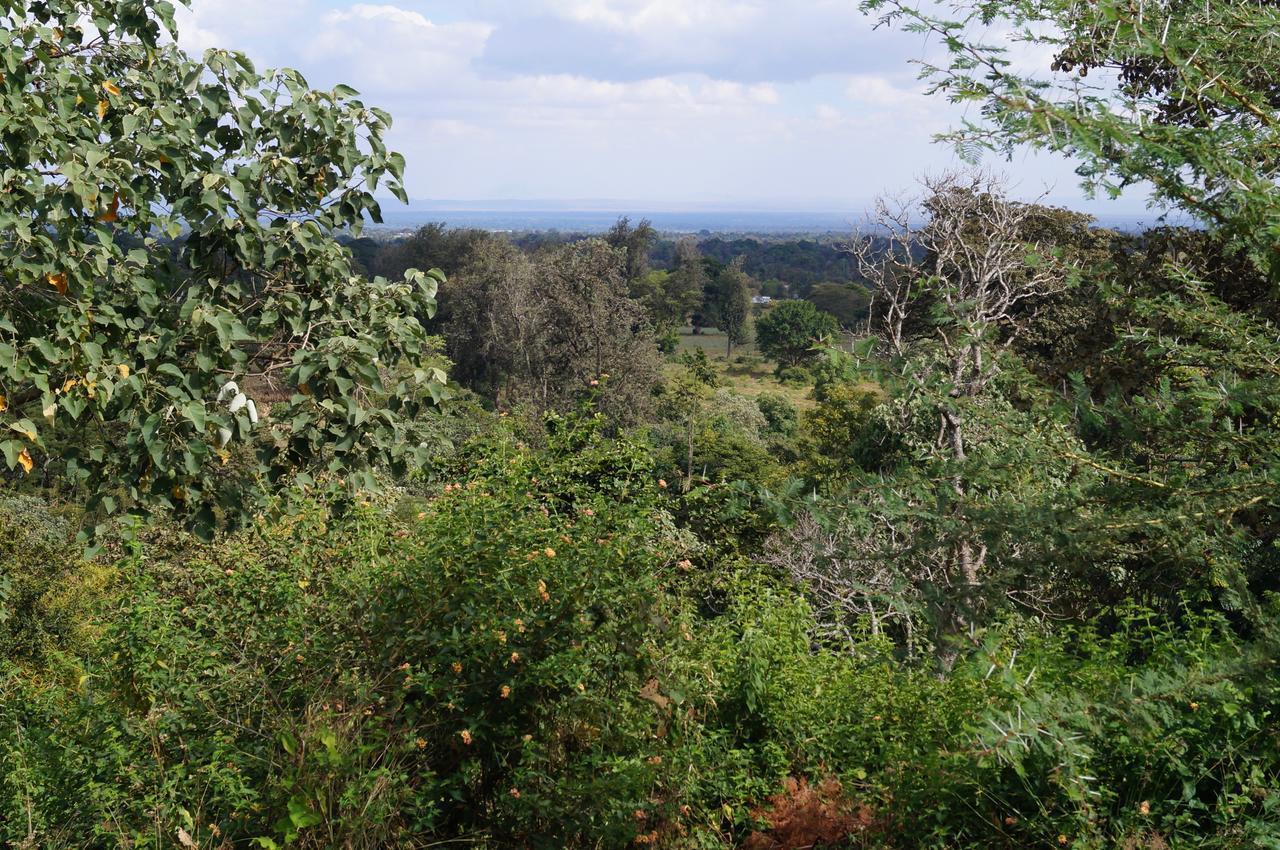 Arusha Villa Karamu Coffee Estate Usa River Exteriér fotografie